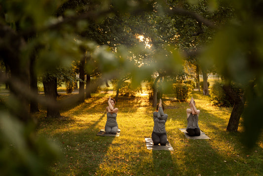 Holistic Wellness Retreats: A Journey to Renewal and Transformation